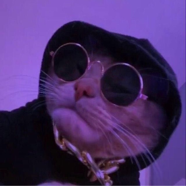 r*****z