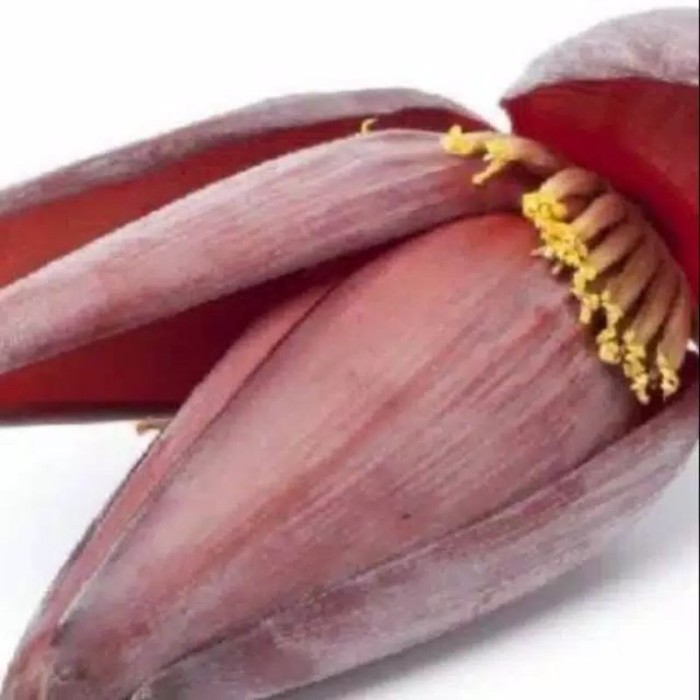 jual jantung pisang batu atau keluthuk
