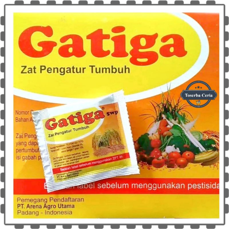 Zat Pengatur Tumbuh Tanaman