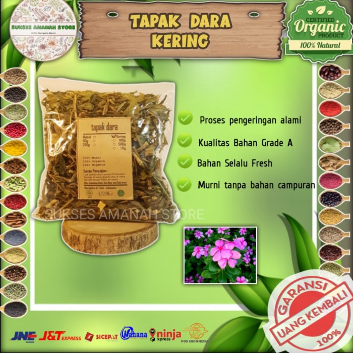 

Daun Tapak Tlapak Dara Doro Kering 500 Gr Herbal Catharanthus Roseus