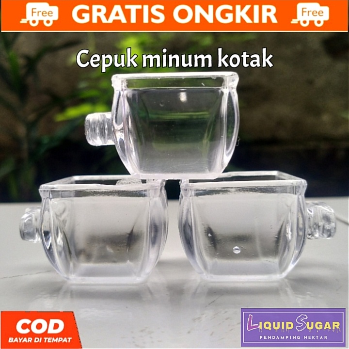 CEPUK MINUM BURUNG , NEKTAR No.5 (KOTAK)