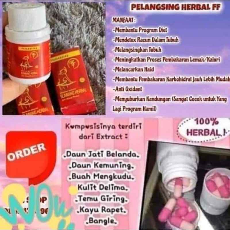 pil pelangsing herbal by Fenny frans