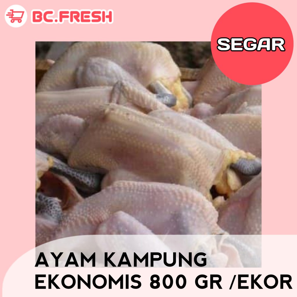 

Ayam kampung utuh ekonomis (tanpa ati ampela) 800 gram