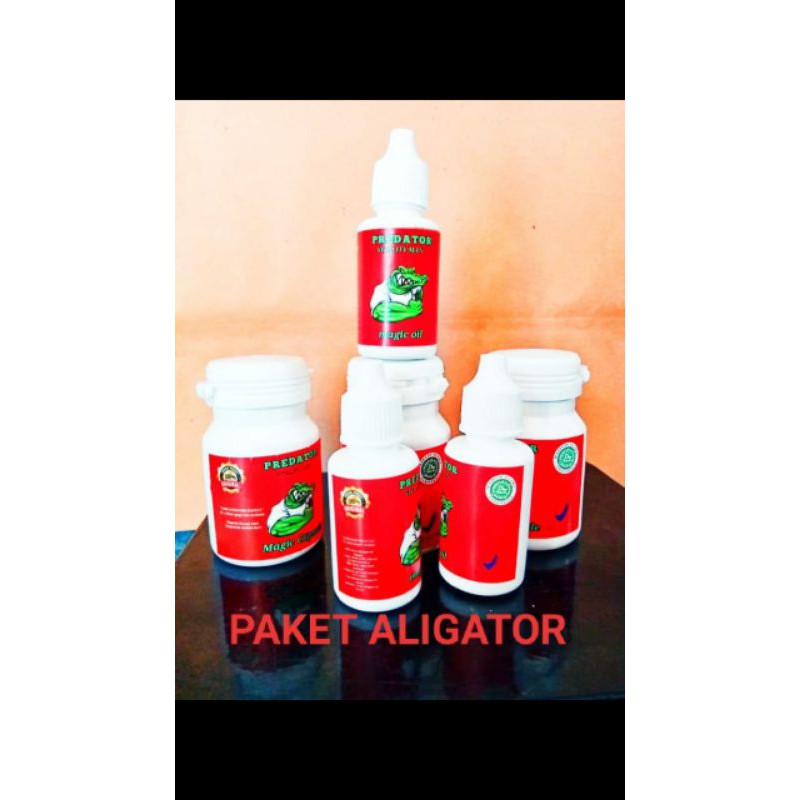 

paket aligator