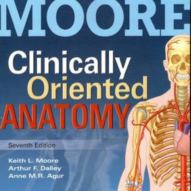 Buku Kedokteran Moore Clinically Oriented Anatomy