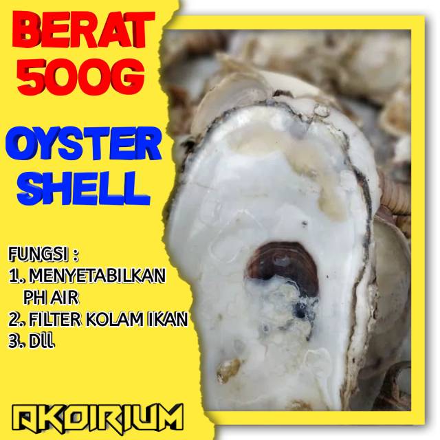 CANGKANG KERANG TIRAM OYSTER SHELL KARANG TIRAM UNTUK MENAIKAN PH AIR