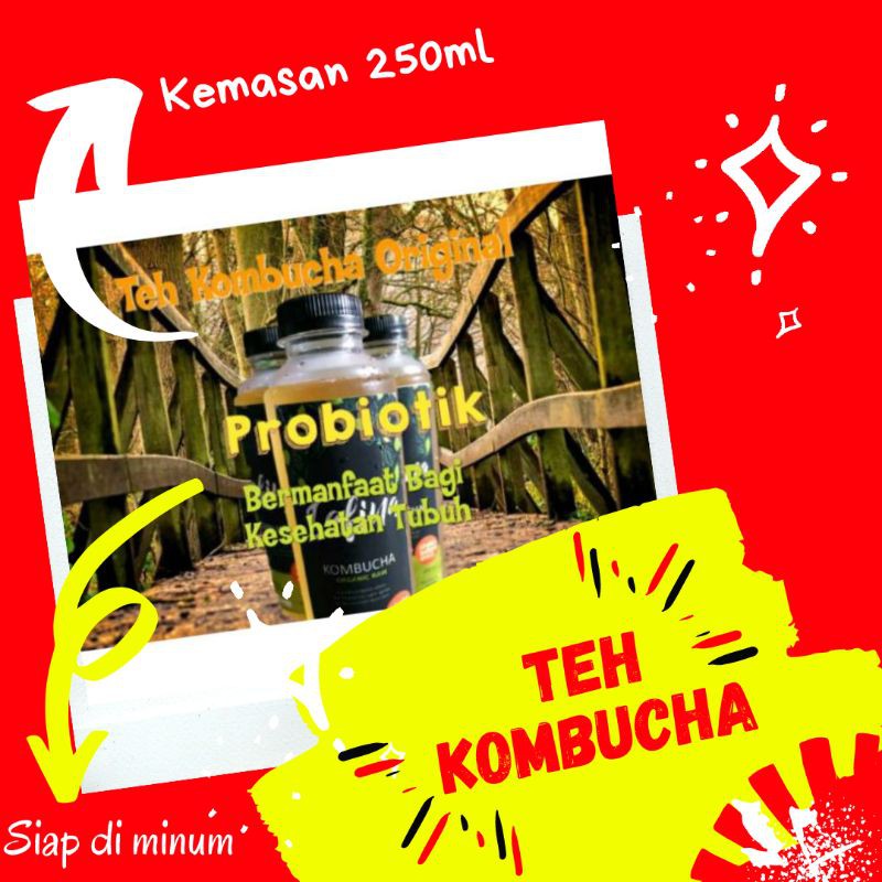 

TEH KOMBUCHA ORIGINAL kemasan 250ml