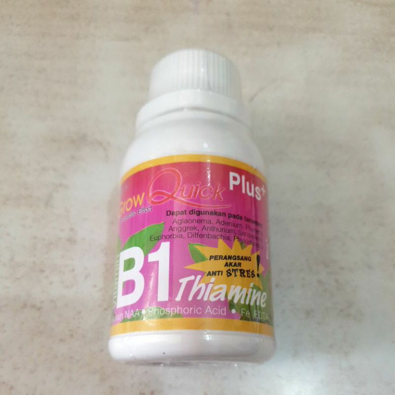 Jual Vitamin B1 Plus 100 Ml | Shopee Indonesia