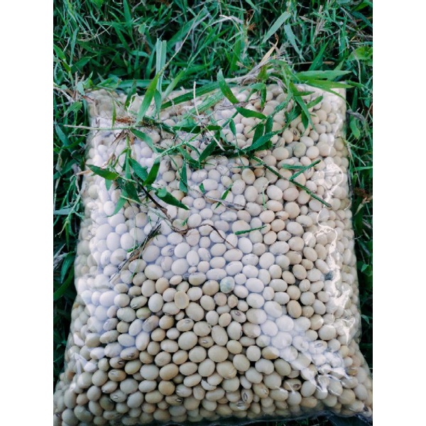 

KACANG KEDELAI SUPER KEDELAI ASLI GROBOGAN SUPER 1 KG