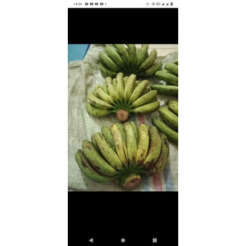 

Pisang Barangan