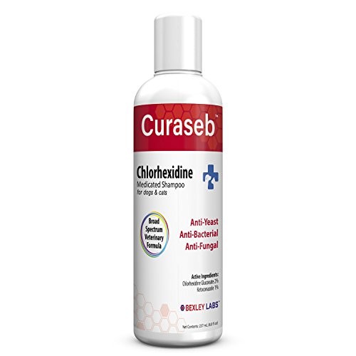 Jual Bisa Cod Curaseb Antifungal Antibacterial Chlorhexidine Shampoo For Dog Cat Indonesia Shopee Indonesia