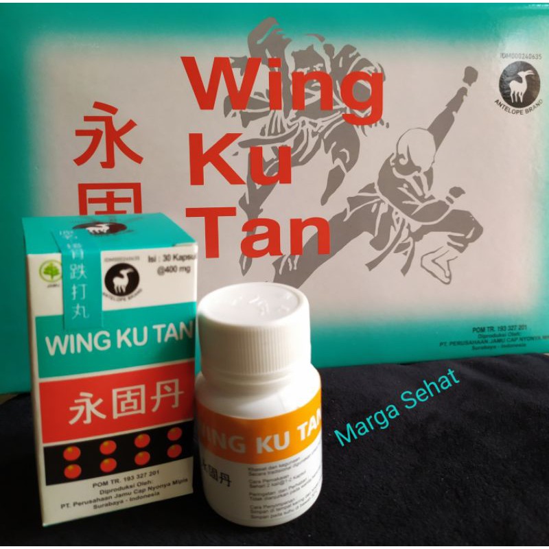 Obat untuk menyambung tulang patah