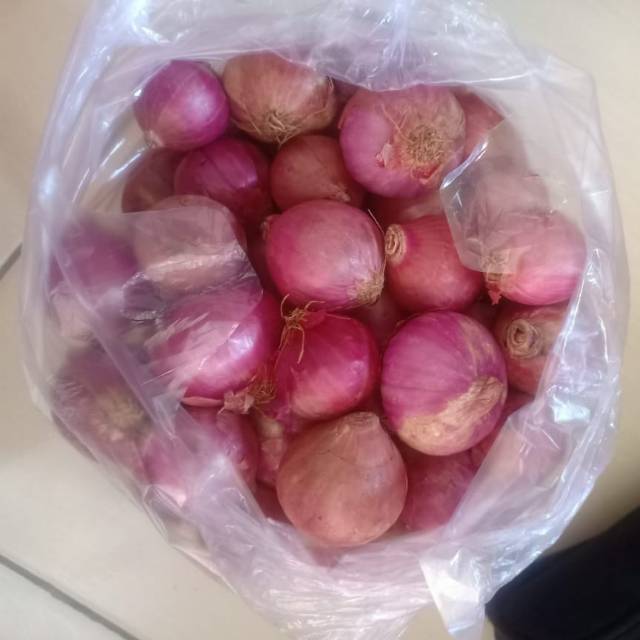 

Bawang Merah Besar