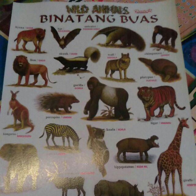 Poster Edukasi Poster Anak Serie Campur Tk Paud Sd