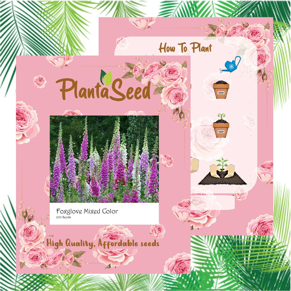 PlantaSeed - 200 Seeds - Foxglove Mixed Color Biji Bunga - PAS0220