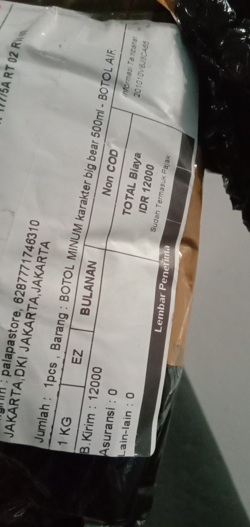 Botol Minum Karakter Big Bear 500ml - Botol Air 500ml - Palapa