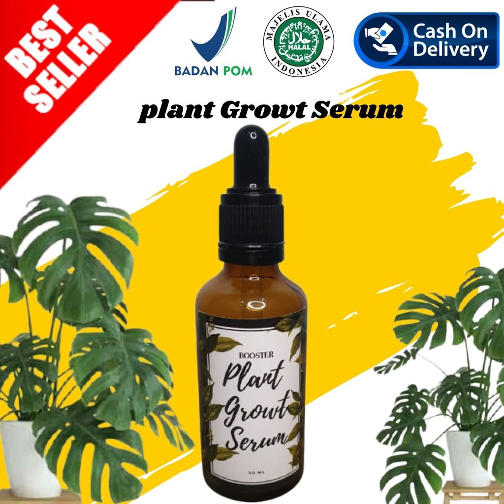 (TERMURAH ) SERUM TANAMAN HIAS AMPUH  Lebih Ampuh Dari Albero Workplant Plant Growth Stimulant Folia