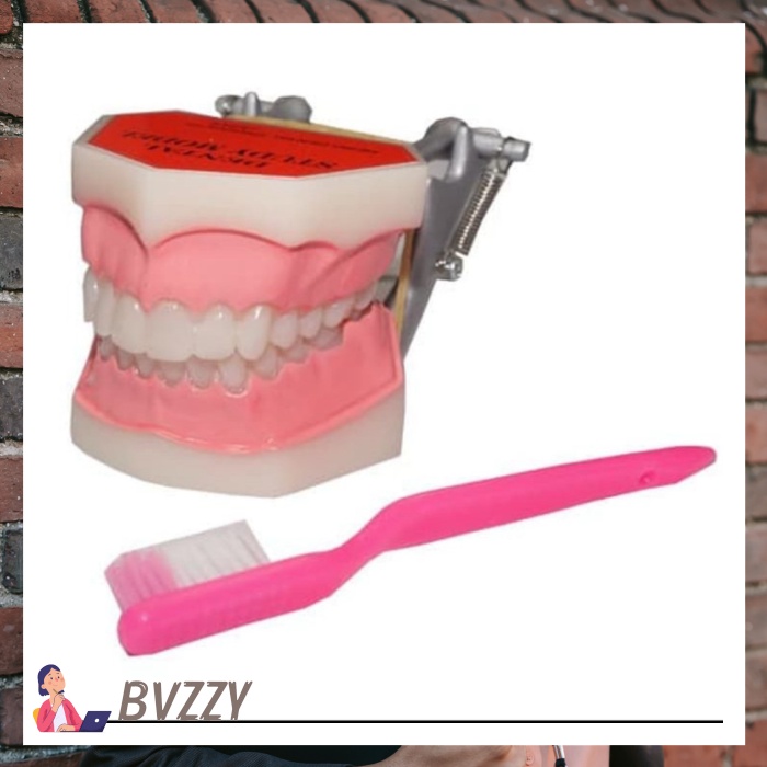 [BESTDEAL] PHANTOM GIGI BESAR  SIKAT GIGI