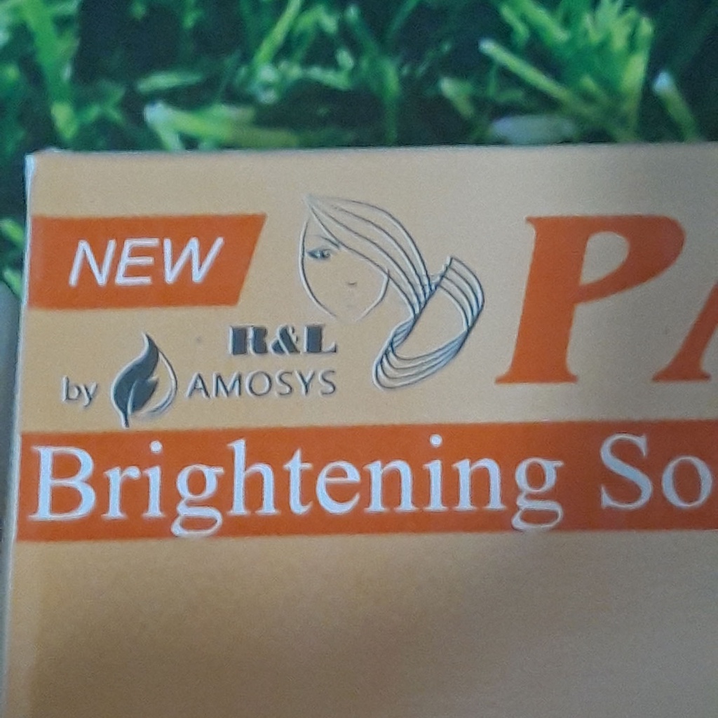 SABUN R&amp;L PAPAYA 90gr / SOAP PAPAYA