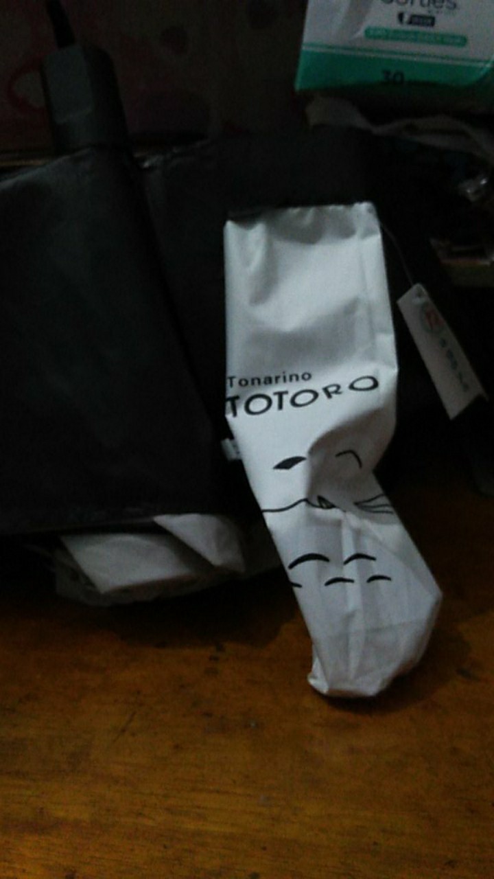 Payung Lipat Cute Nagoya Totoro Kecil