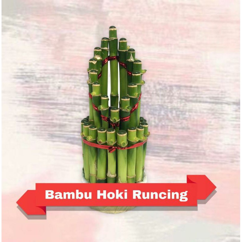 Bambu Hoki Murah