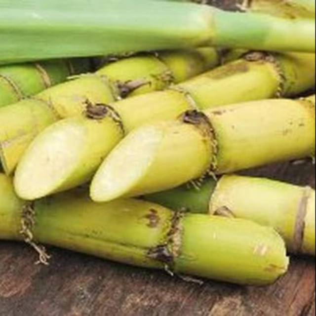

Tebu kuning 1kg segar non pestisida