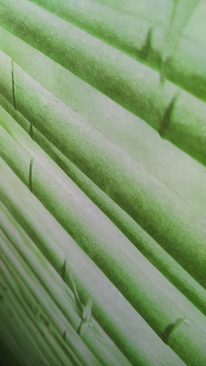 Batik Dj | Tunik Batik Motif Seragam Batik Dianputri Baju Batik Wanita