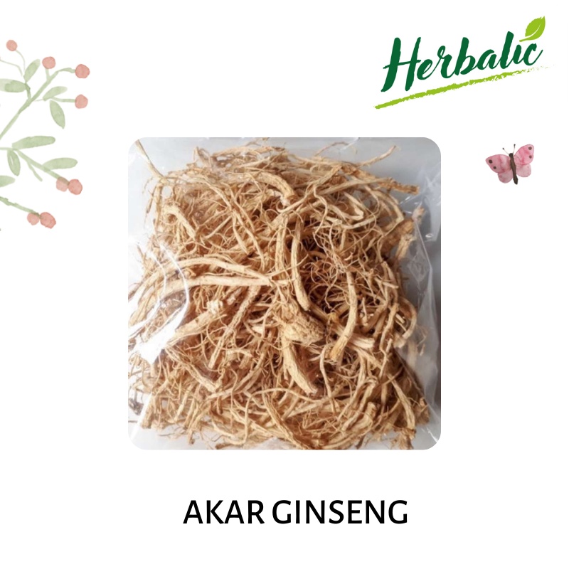 

Akar Ginseng Yang Shen Xu Som Chiu Import [25 Gram]