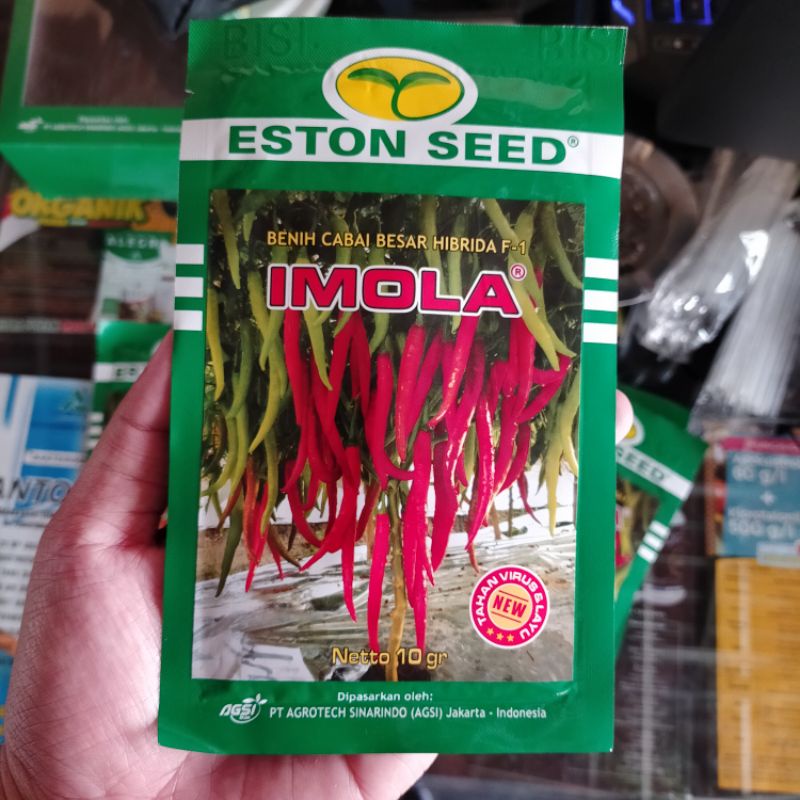 Imola New 10gr benih cabe besar cmb