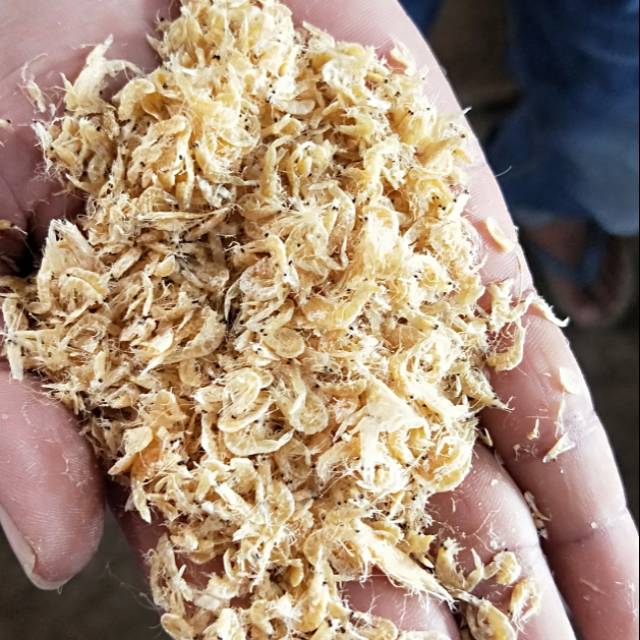 

Udang rebon kering