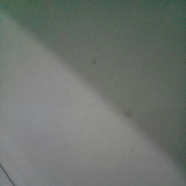 Pot  Bunga Warna Satuan