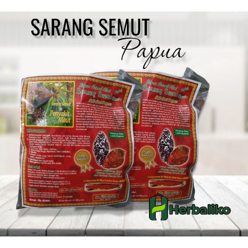 sarang semut papua