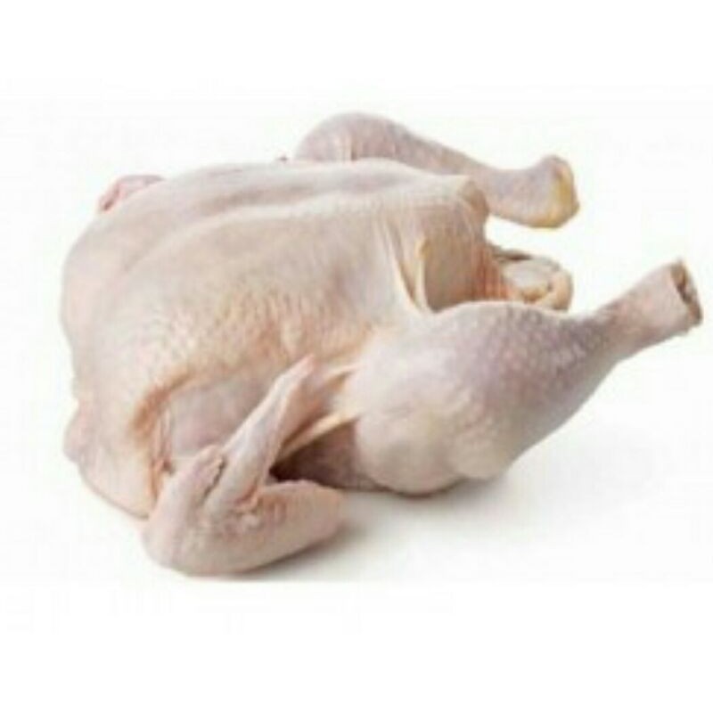 

Daging Ayam Segar