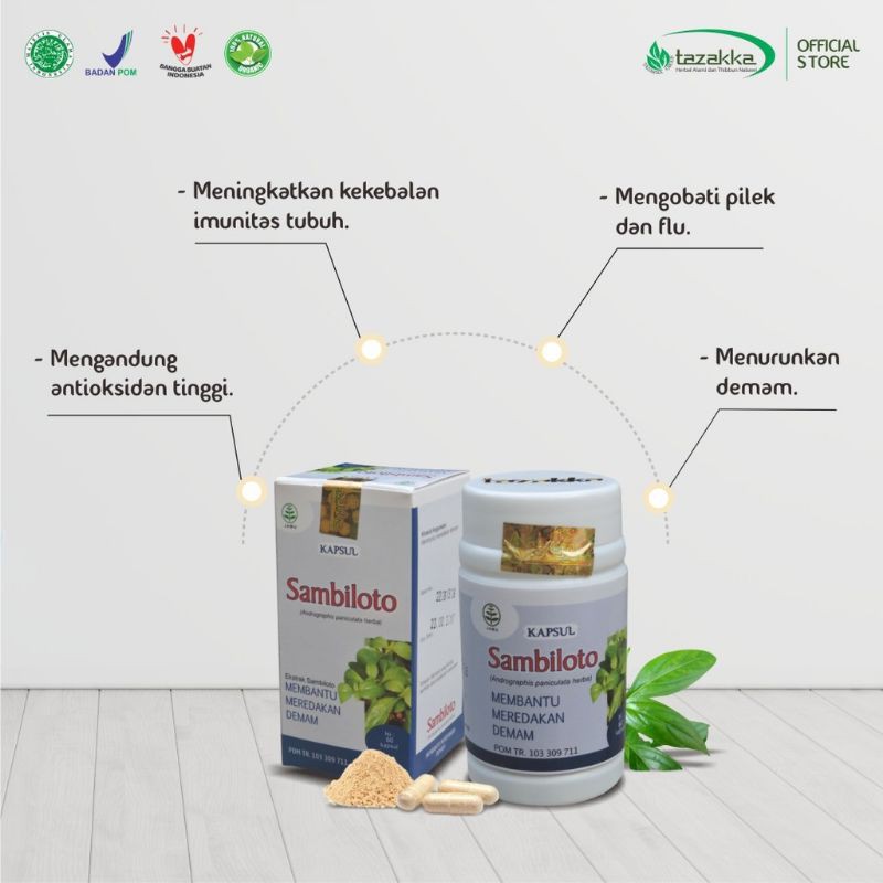 Sambiloto 60 Kapsul Herbal Tunggal Ijin BPOM