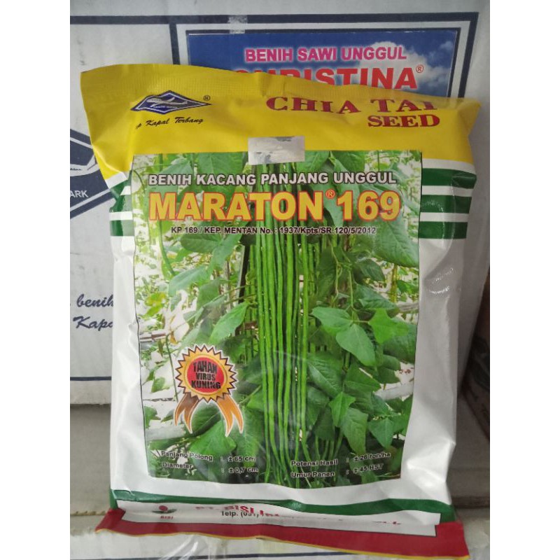 Benih kacang panjang Marathon 500 gram