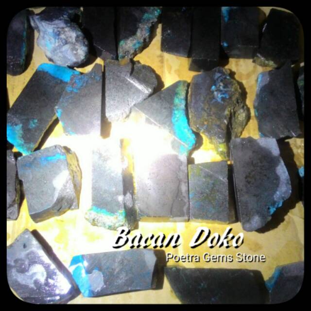 BACAN DOKO HARGA RESELLER TERMURAH