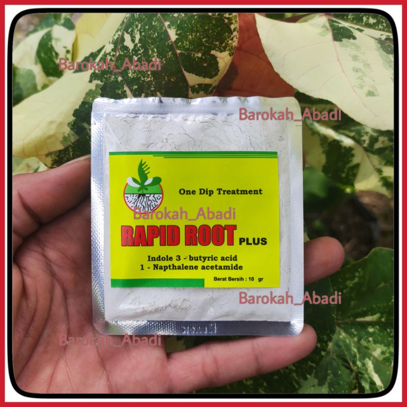 Rapid Root Plus 10gr hormon pertumbuhan akar