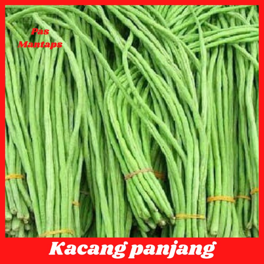 

Kacang Panjang 250 gram Pasar Sayuran Segar Bekasi