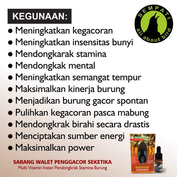 Simak Manfaat Sarang Walet Buat Burung Lb 