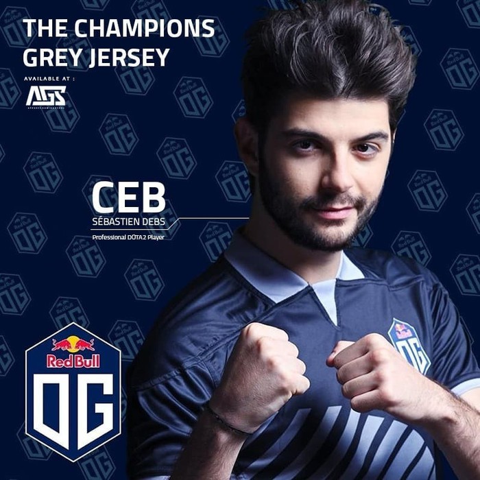 Jersey Team OG Redbull Gray - M