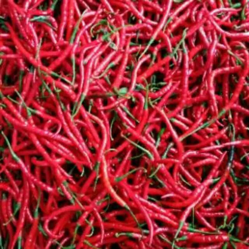 

cabe keriting 1/4 kg