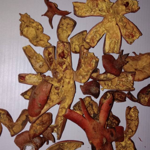 

Kulit Delima Kering super 100 gram