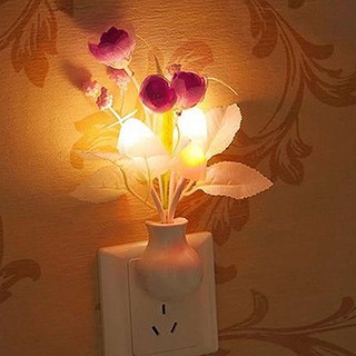 5500 Koleksi Wallpaper Romantis Lampu HD Terbaru