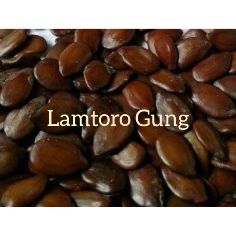 Lamtoro Gung 1 Kg