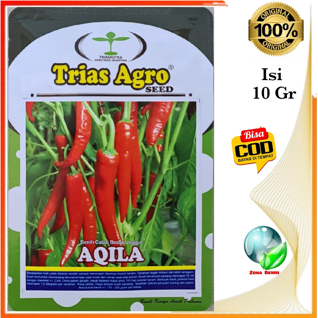 Bibit Cabe Merah Besar Unggul Aqila Isi 10 Gram | Benih Cabe Besar | Bibit Unggul