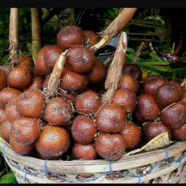 

Salak Bali Super asli Sibetan minimum beli 2kg