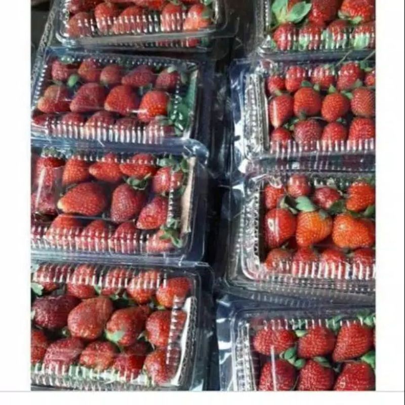 

Buah stroberi isi 1pak