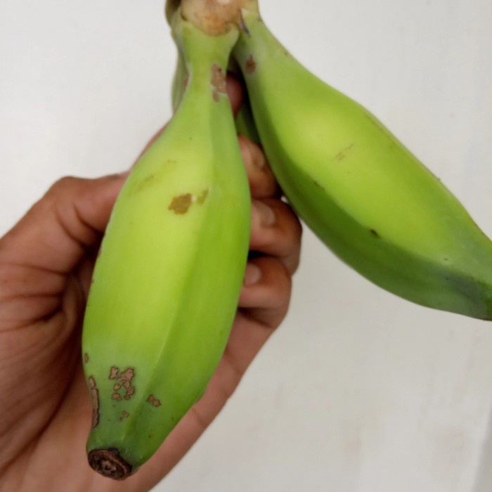 

New Pisang batu muda atau pisang klutuk segar 1 kg