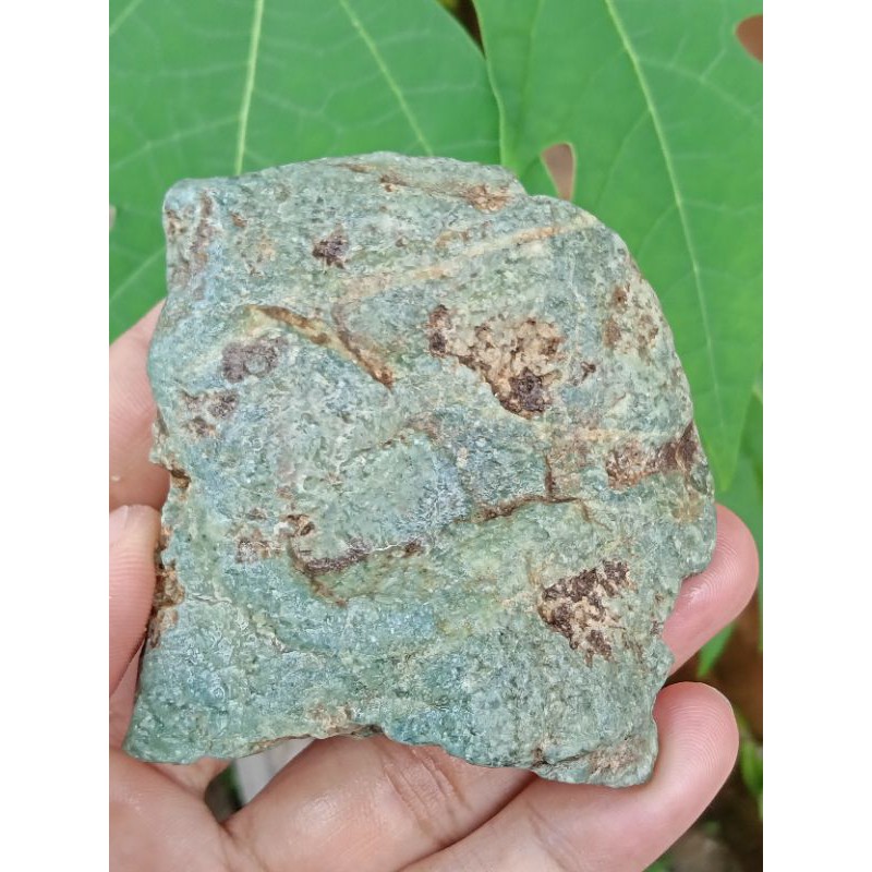 Lumut Sungai Dareh Kumbang Jati ( Rough / Bahan Batu Akik - bukan bacan kecubung opal kalimaya )