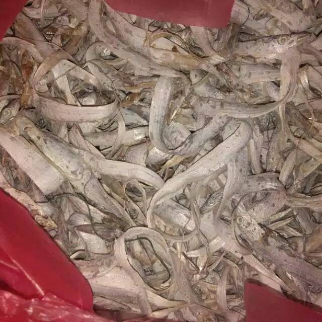 

Ikan layur ongong